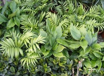 震惊震惊。。。你的梦都预示着什么?