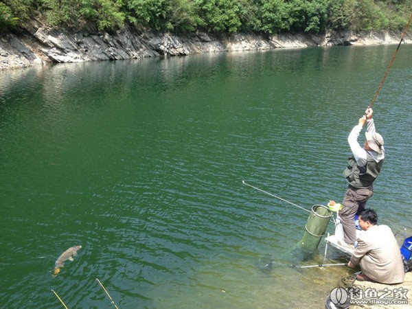 探钓野生鱼视频,探钓野生水库
