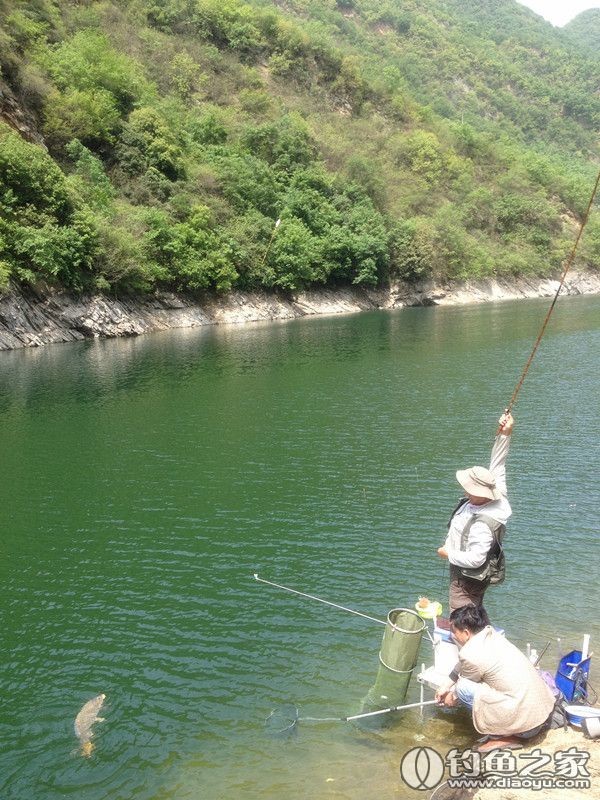 探钓野生鱼视频,探钓野生水库