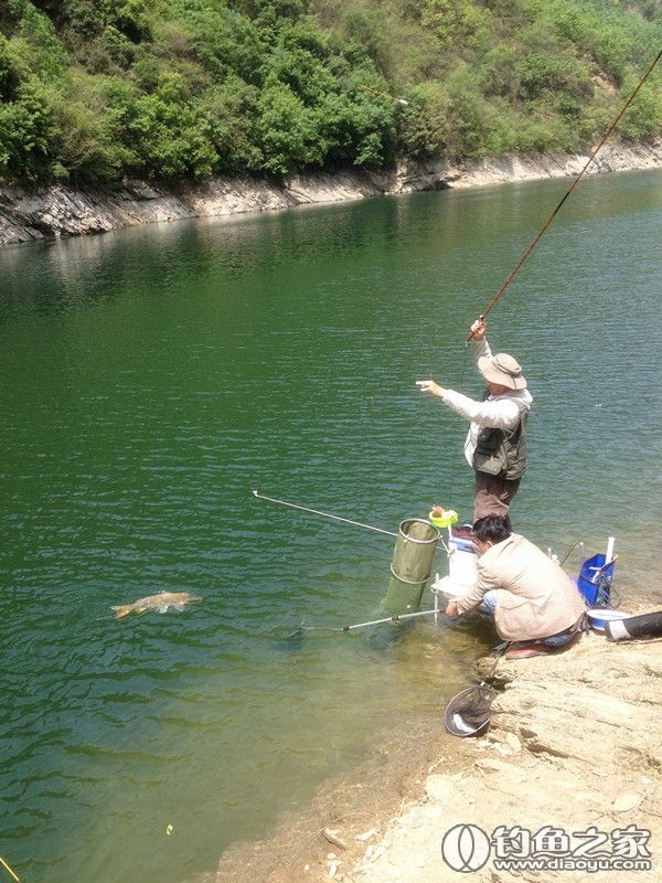 探钓野生鱼视频,探钓野生水库