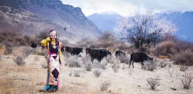 西藏林芝行一路风景如画,林芝最美小镇