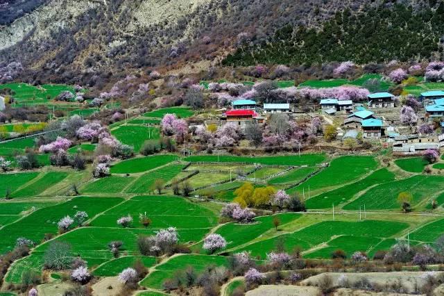 西藏林芝行一路风景如画,林芝最美小镇