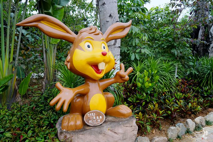 呀诺达，拾起我童年记忆的热带雨林