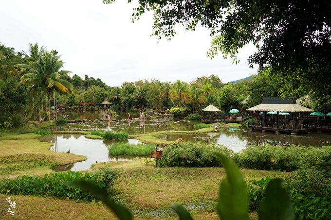 呀诺达，拾起我童年记忆的热带雨林