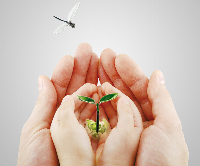 防癌险更实用,重疾险推荐话术