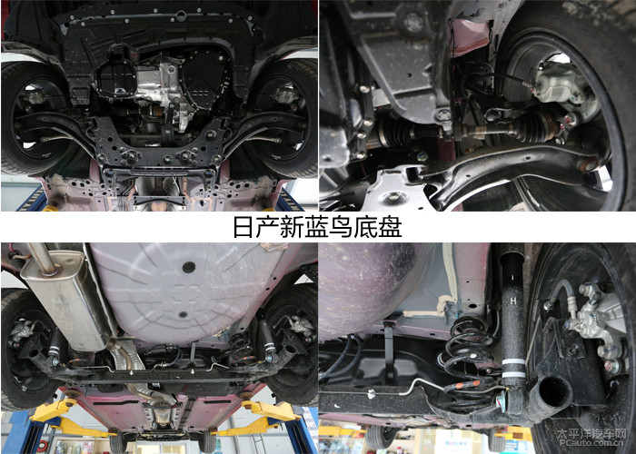 外观和实用方面也各有特色,蓝鸟外观漂亮