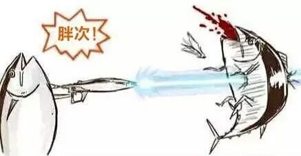 美式装修吐槽,美式装修被吐槽