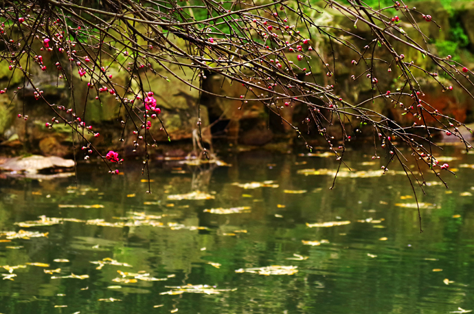 苏州穹窿山景区风景,苏州穹窿山半山腰