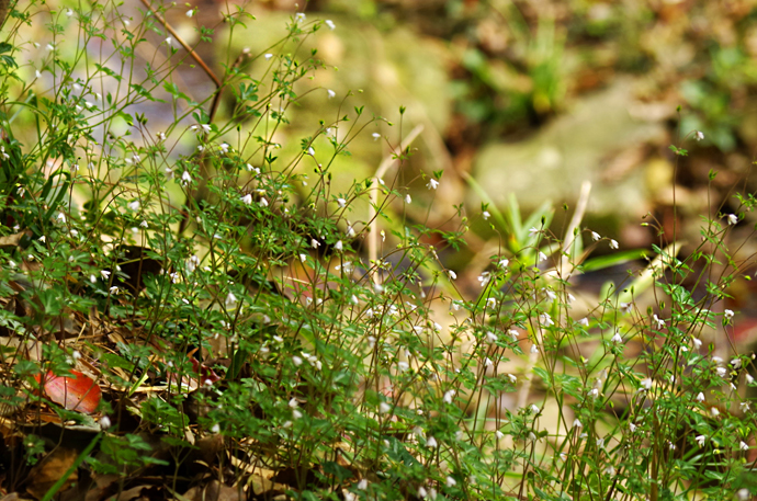 苏州穹窿山景区风景,苏州穹窿山半山腰