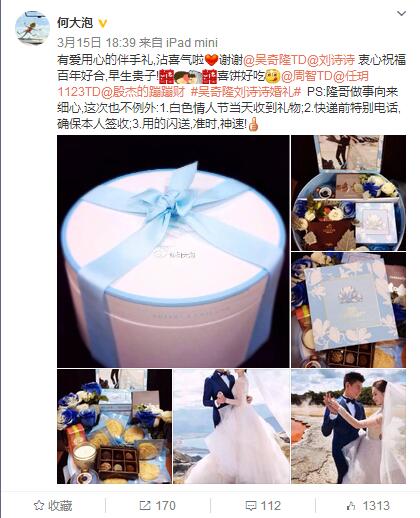 刘诗诗金光熊猫,刘诗诗苏有朋