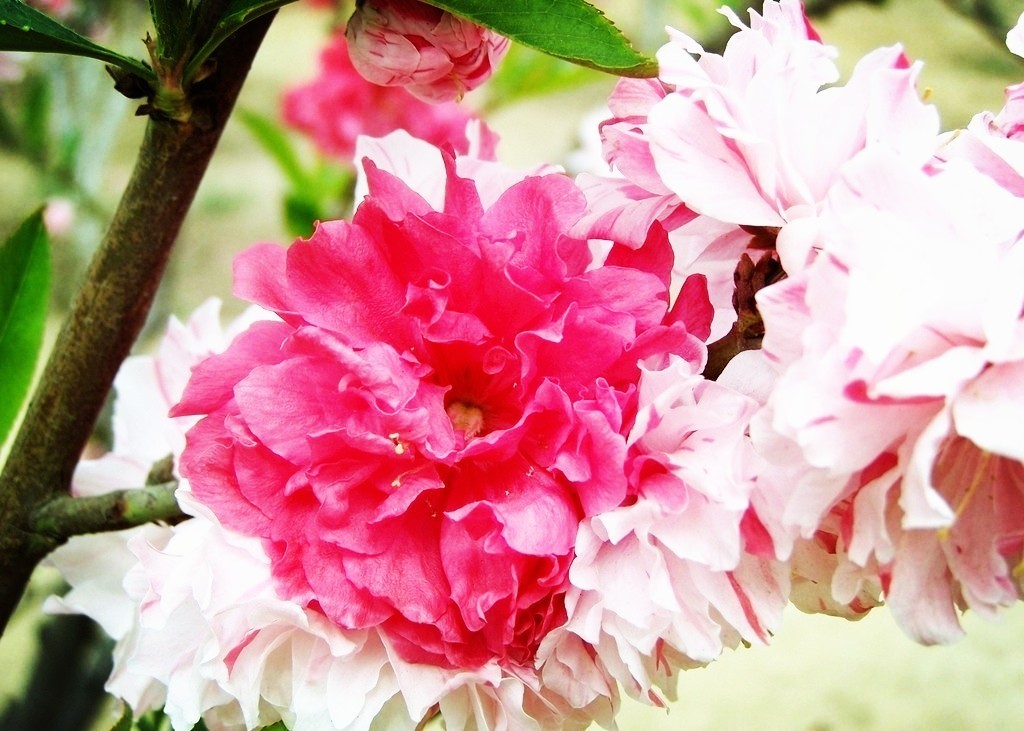 一大波好消息来袭，只和天津人有关，全国人民只有羡慕的份