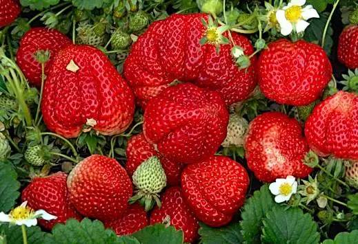 一大波好消息来袭，只和天津人有关，全国人民只有羡慕的份