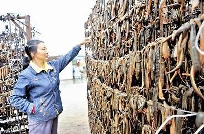下水田干活,下水田摸鱼