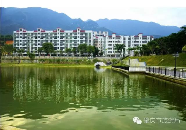 广东肇庆景色很好的大学,肇庆学院风景湖