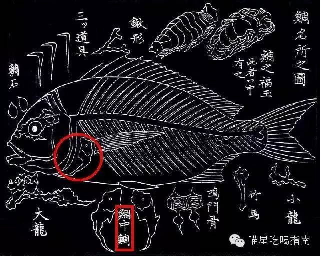 来一口甜口味的春天,来一口春天的味道