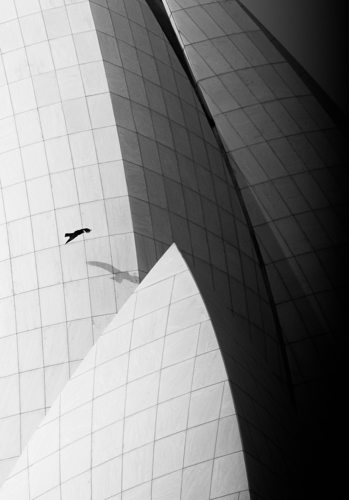 走去天竺,走天竺