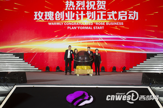 陕西省三八妇乐科技集团,陕西三八妇乐公司简介