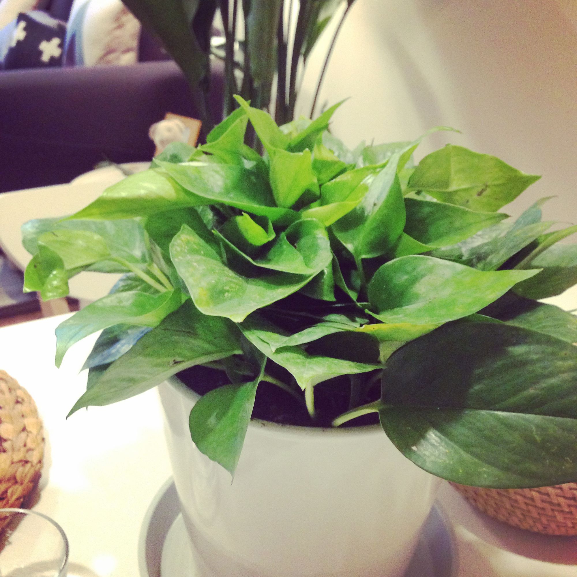 装修日记小户型30平,本地北欧风装修推荐