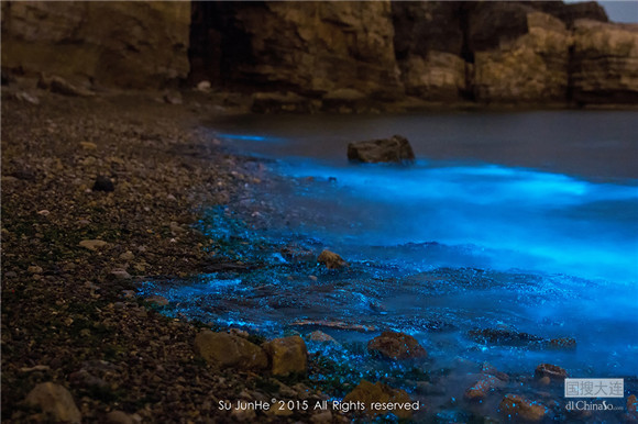 大连的海介绍,大连那边有什么海