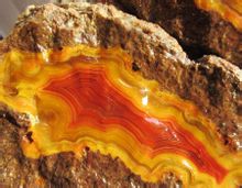 战国红黄中带绿,战国红玛瑙红的好还是黄的好