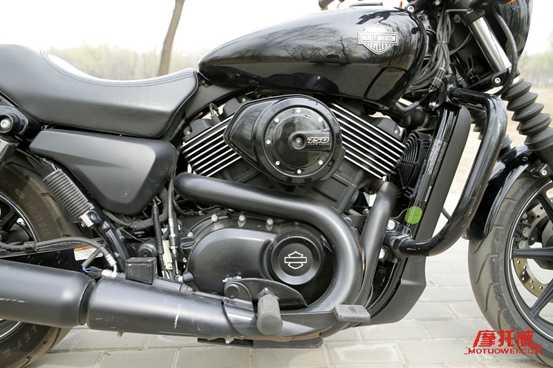 2019款哈雷street750,哈雷streetbob