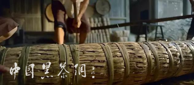 世博茶叶,中国十大世博名茶