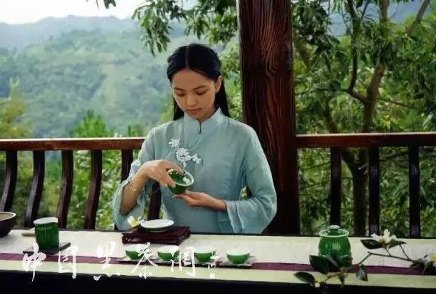 世博茶叶,中国十大世博名茶