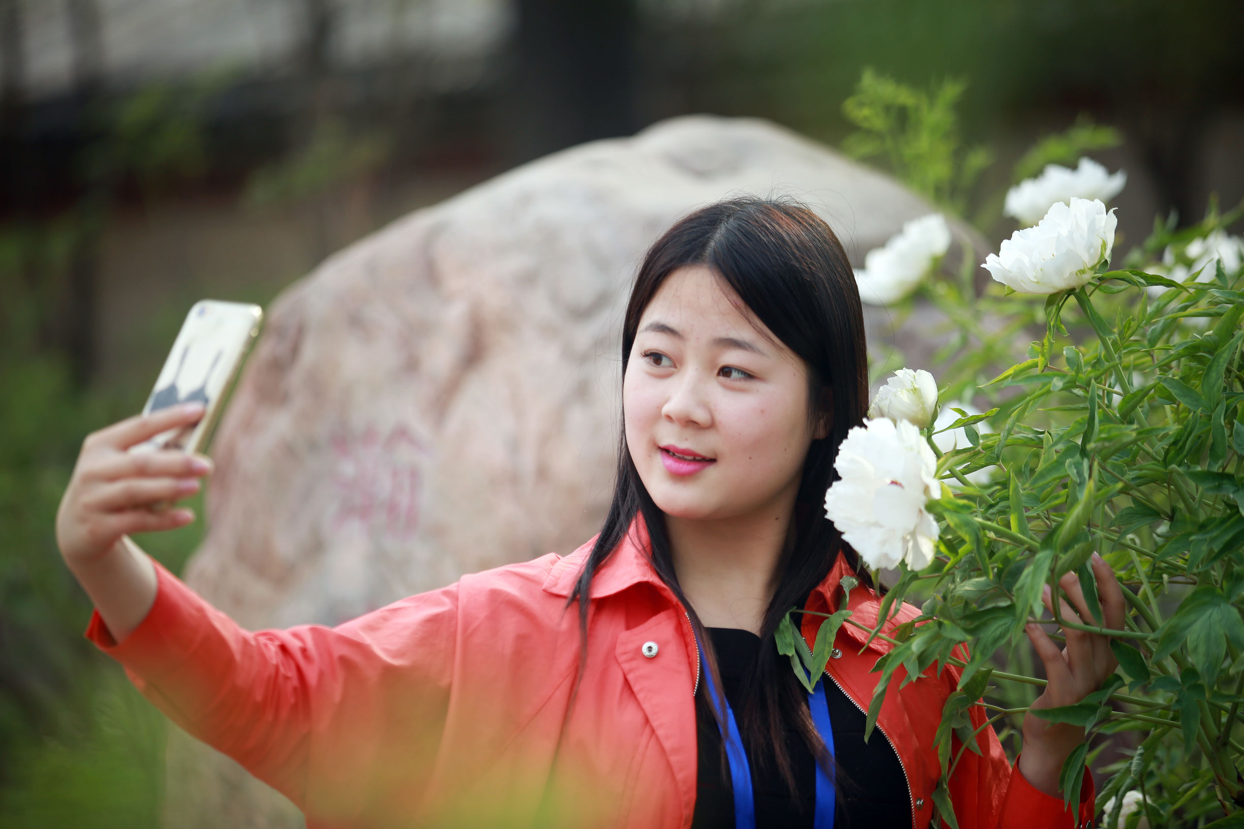 洛阳龙门牡丹园最美牡丹,洛阳国家牡丹园最独特的牡丹