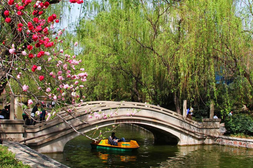 清明小长假打卡成都,懒癌假期