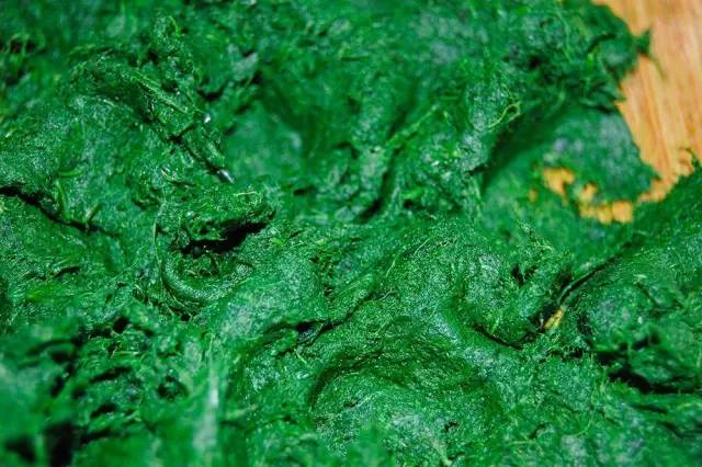 赶在清明之前，为自己做一只青团|一切时节皆与故土食物相关