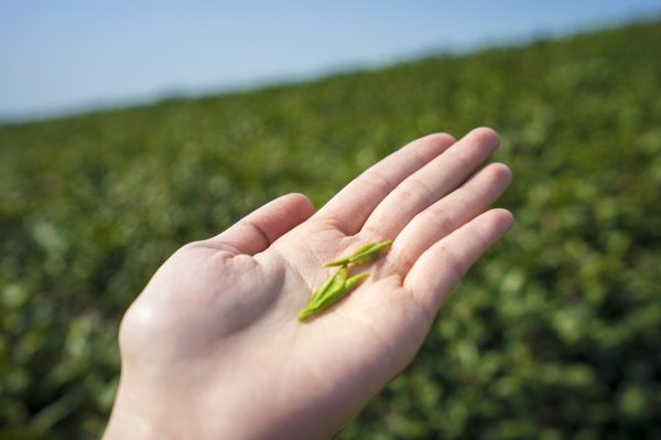 太湖舒畅之旅:乐享田园生活