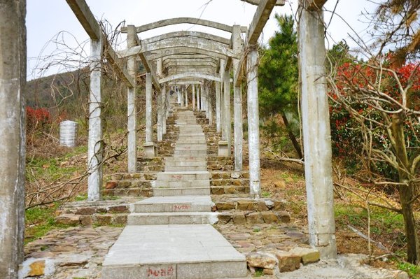 太湖舒畅之旅:乐享田园生活