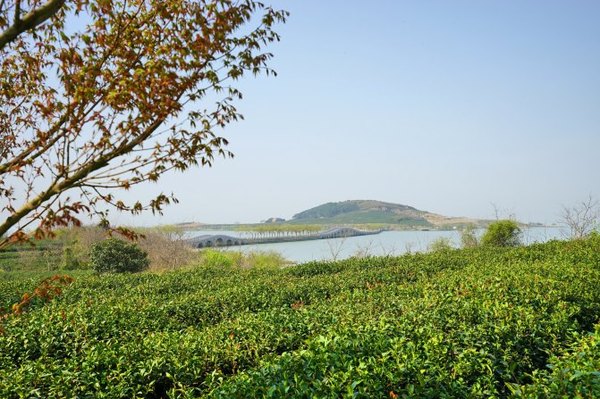 太湖舒畅之旅:乐享田园生活
