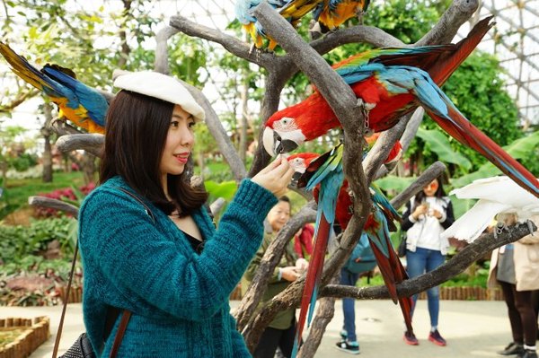 太湖舒畅之旅:乐享田园生活