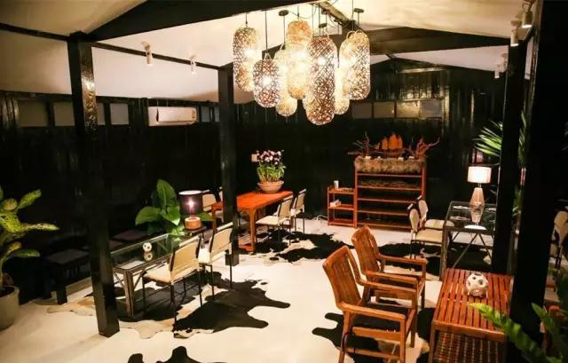 揭秘:真实的泰国人妖,昙花一现的美丽