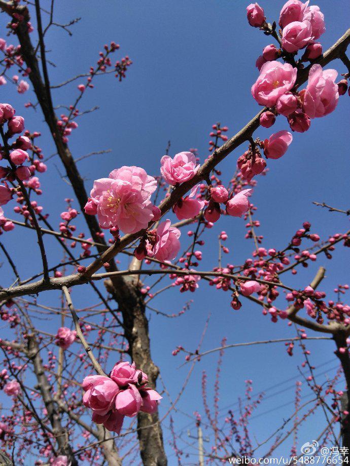 乐视2拍照,乐视第二代手机拍照