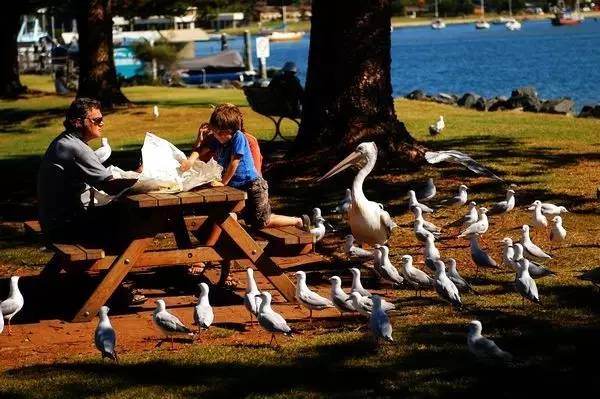 不用化妆拍照技巧,旅行无滤镜拍照怎么拍的