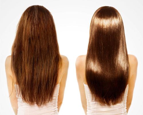 金毛狮王怎么打理,金毛狮王头发打理