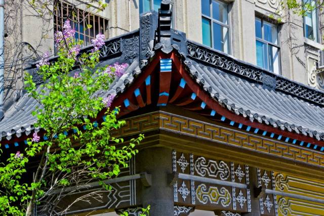 趣谈山大趵突泉校区,春风十里不如你