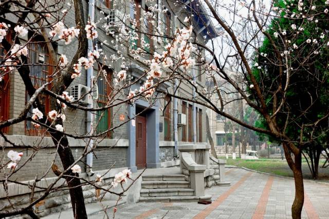 趣谈山大趵突泉校区,春风十里不如你