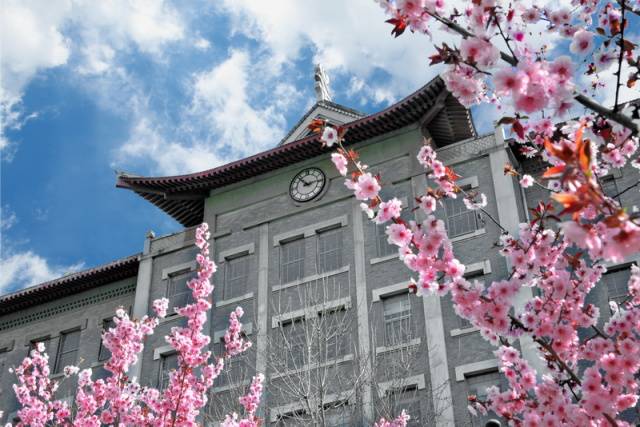 趣谈山大趵突泉校区,春风十里不如你