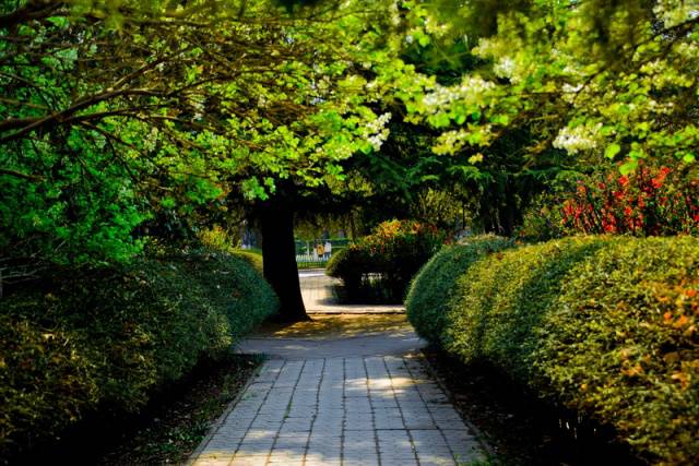 趣谈山大趵突泉校区,春风十里不如你