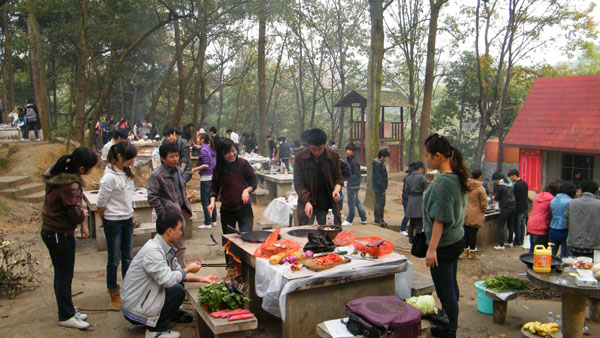 南宁十里花卉长廊农家乐,南宁大明山农家乐排名前十