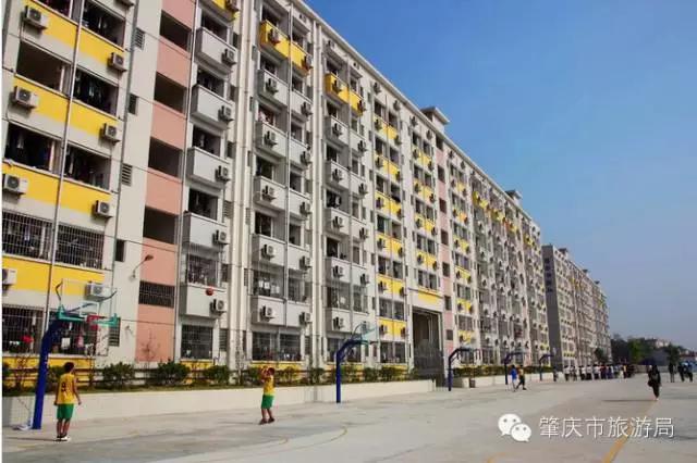 广东肇庆景色很好的大学,肇庆学院风景湖