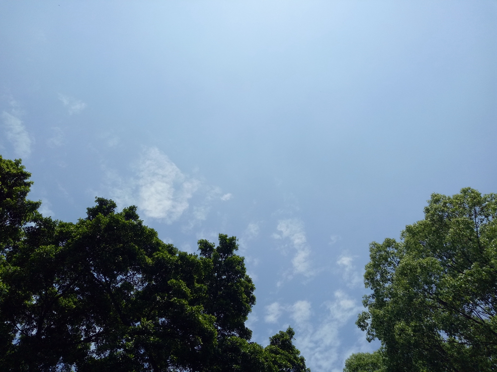 oppor9缺点和不足,oppor9plusma