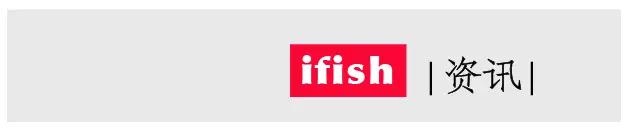 开缸的日记,开缸日记小鱼缸