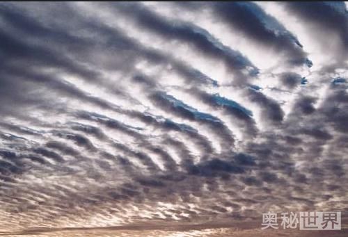 关于自然现象的谚语有哪些,自然现象谚语三年级