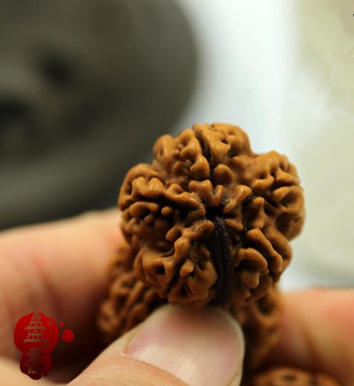 金刚菩提造假 (金刚菩提都用什么造假)