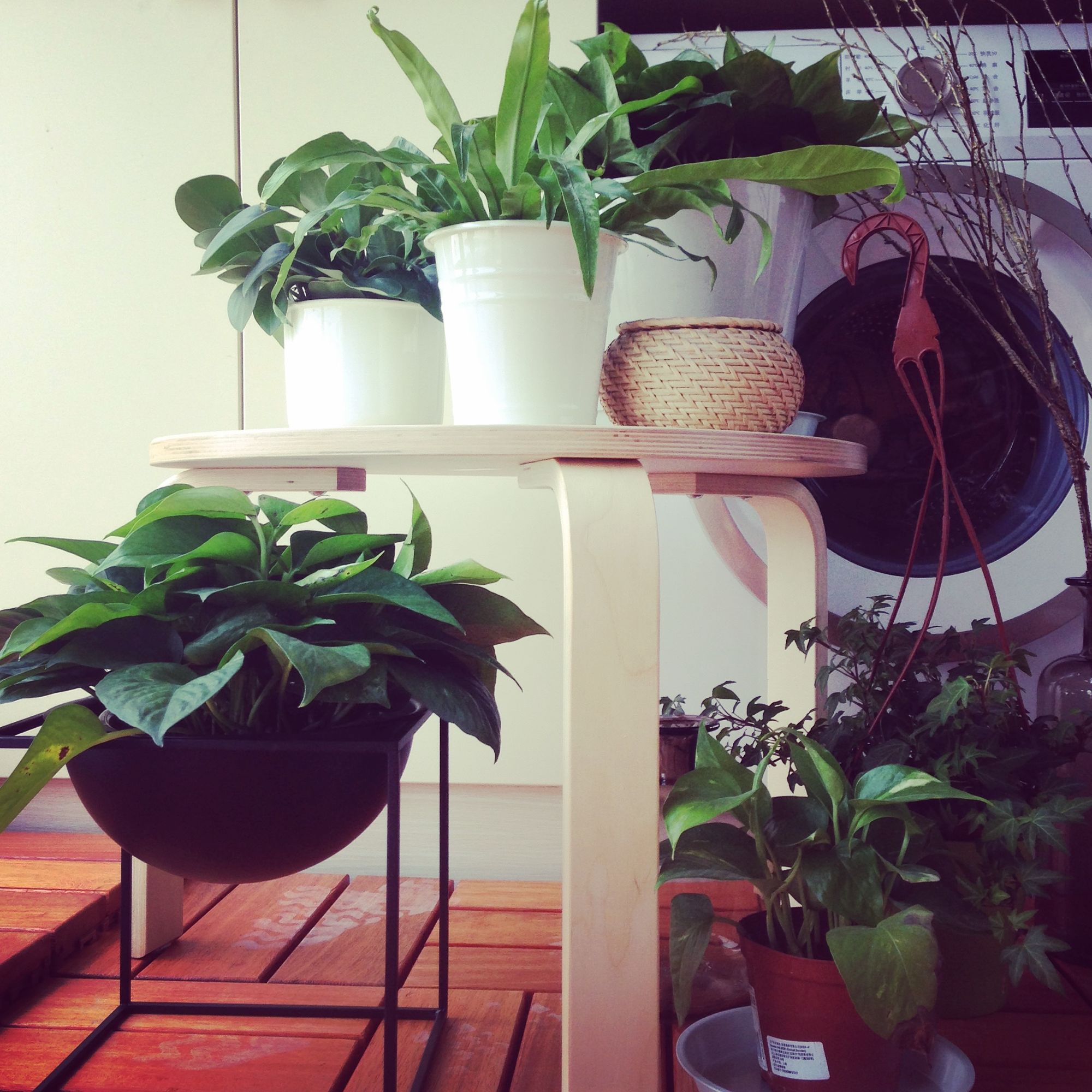 装修日记小户型30平,本地北欧风装修推荐