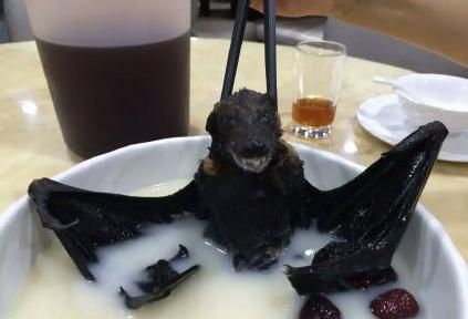 帕劳旅游免费玩,帕劳2019年能去旅游吗